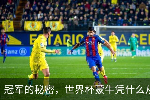 冠军的秘密，世界杯蒙牛凭什么从容不慌？