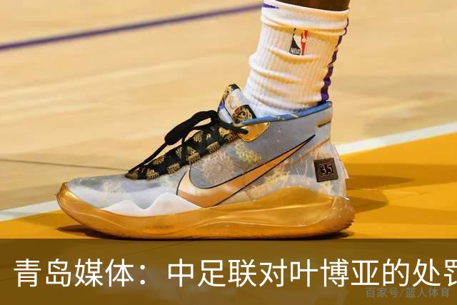青岛媒体：中足联对叶博亚的处罚有些过重，海牛夏窗需引援